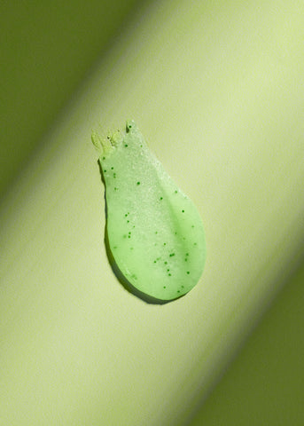 Palm Grove Shea Sugar Scrub